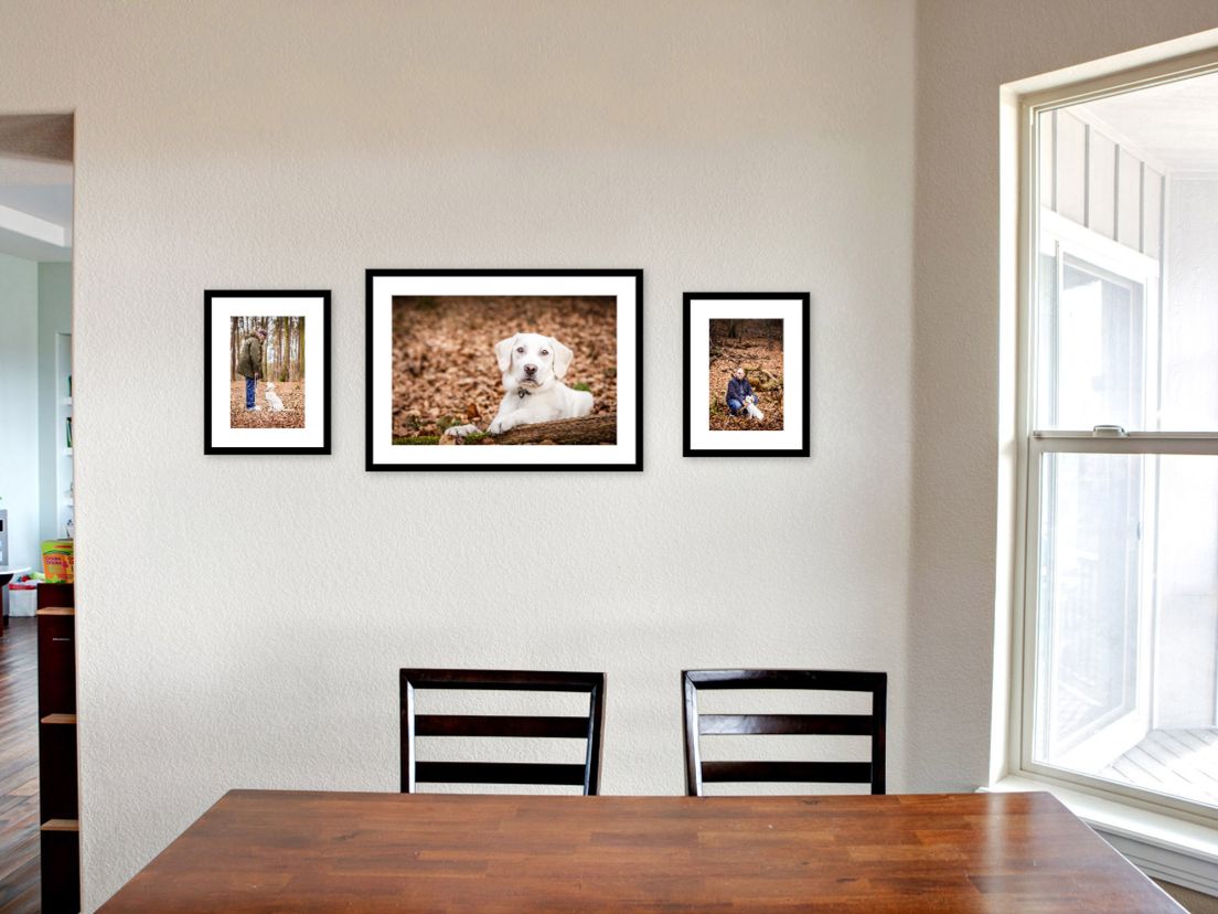 Drei gerahmte Bilder mit weißem Labrador hinter Tisch und Stühlen