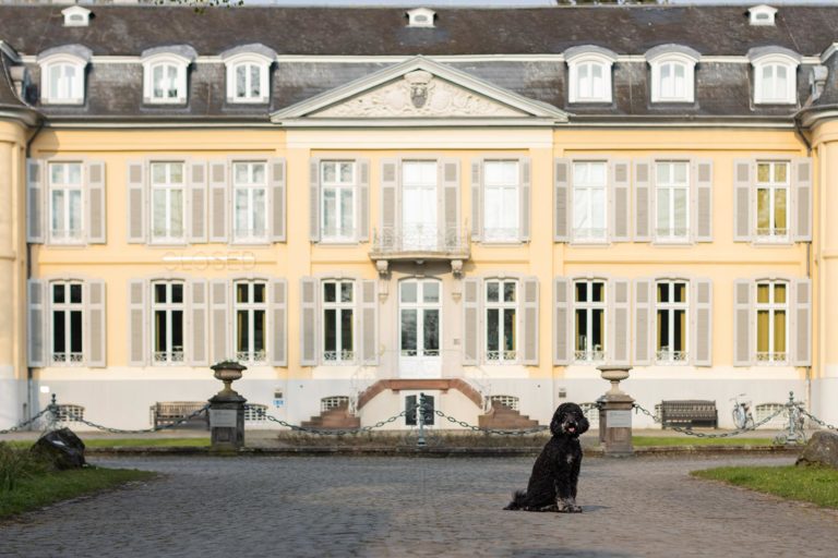 Royale Luft schnuppern an Schloss Morsbroich