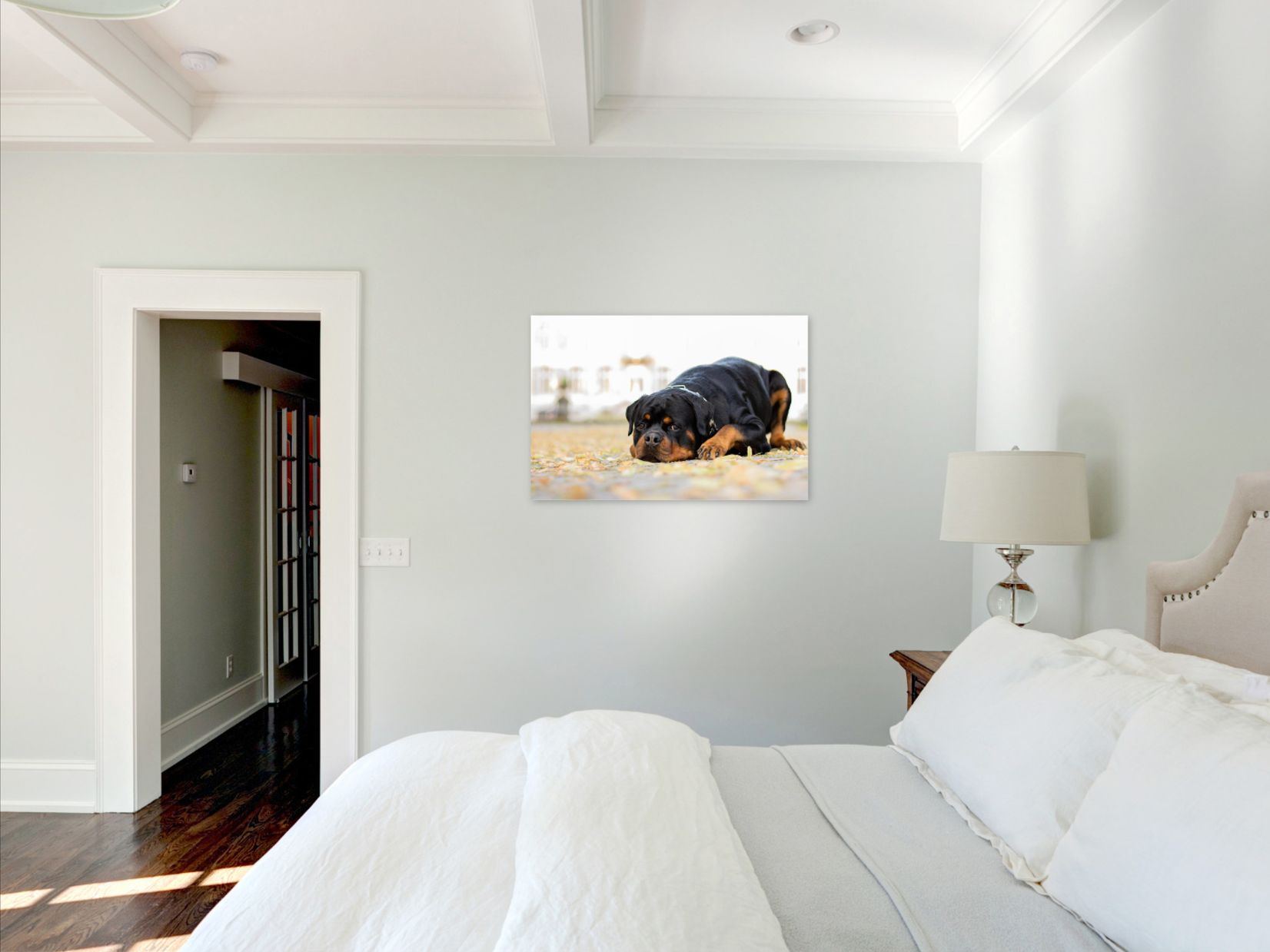 Wandbild mit Hund an Wand in Schlafzimmer