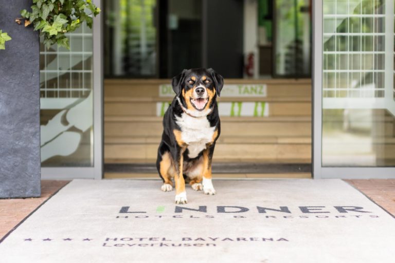 Lindner Hotel BayArena – Stadionhotel mit Herz für Hunde