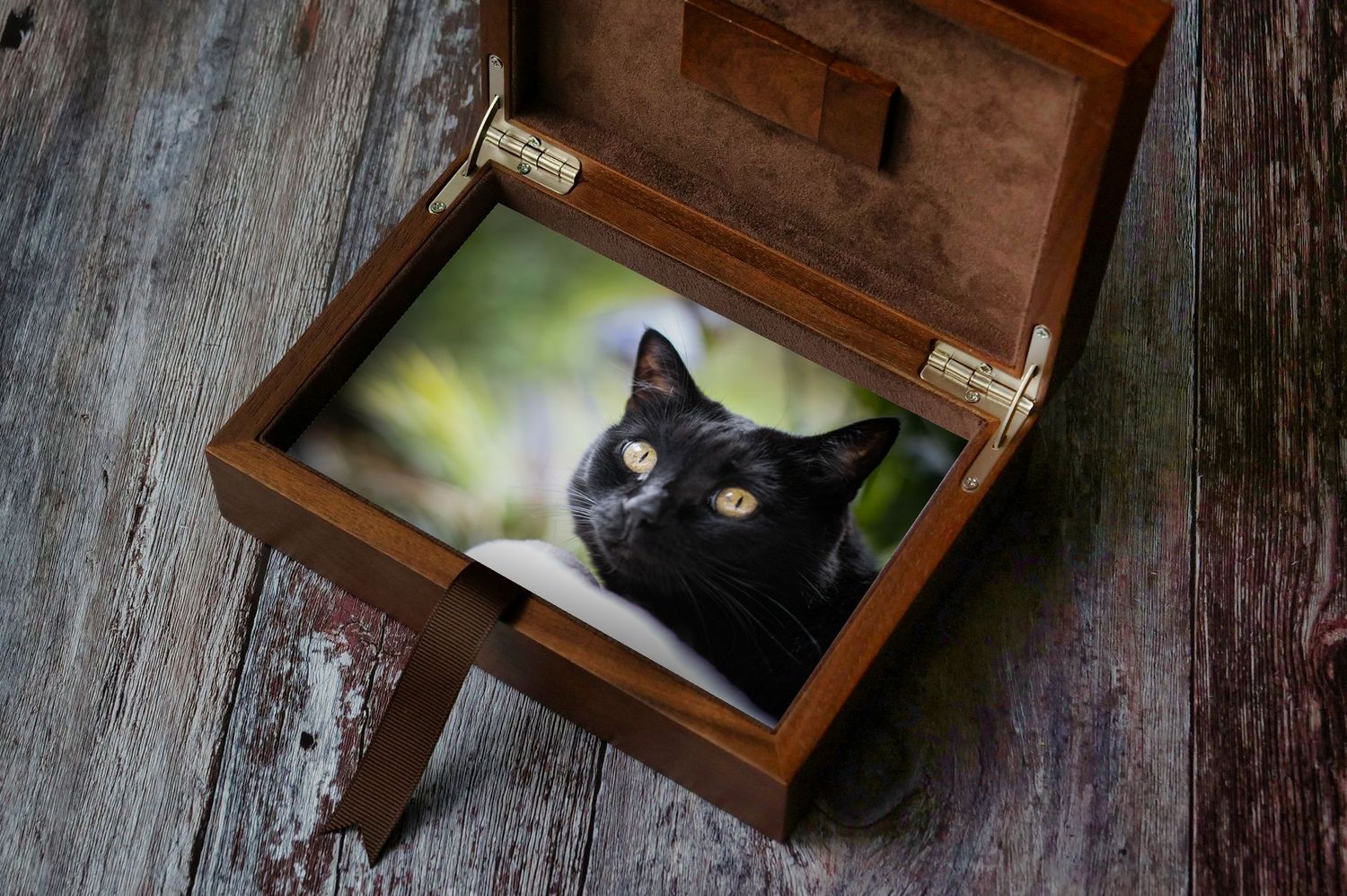 geöffnete Fotobox aus dunkelbraunem Holz mit einer Fotografie einer schwarzen Katze