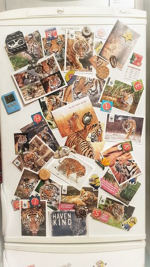Kühlschrank mit Bildern von Tigern