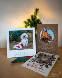 drei verschiedene Weihnachtskarten mit Tierbildern vor einem Mini-Weihnachtsbaum