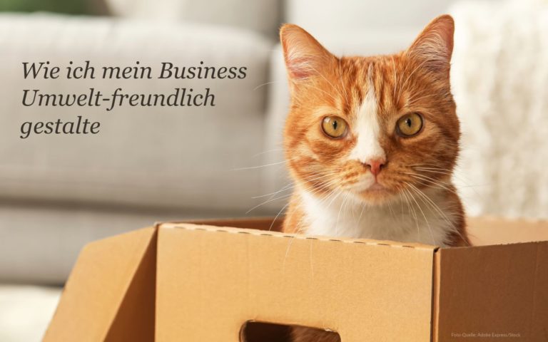Eine rote Katze sitzt in einem Karton. Text = "Wie ich mein Business Umwelt-freundlich gestalte"