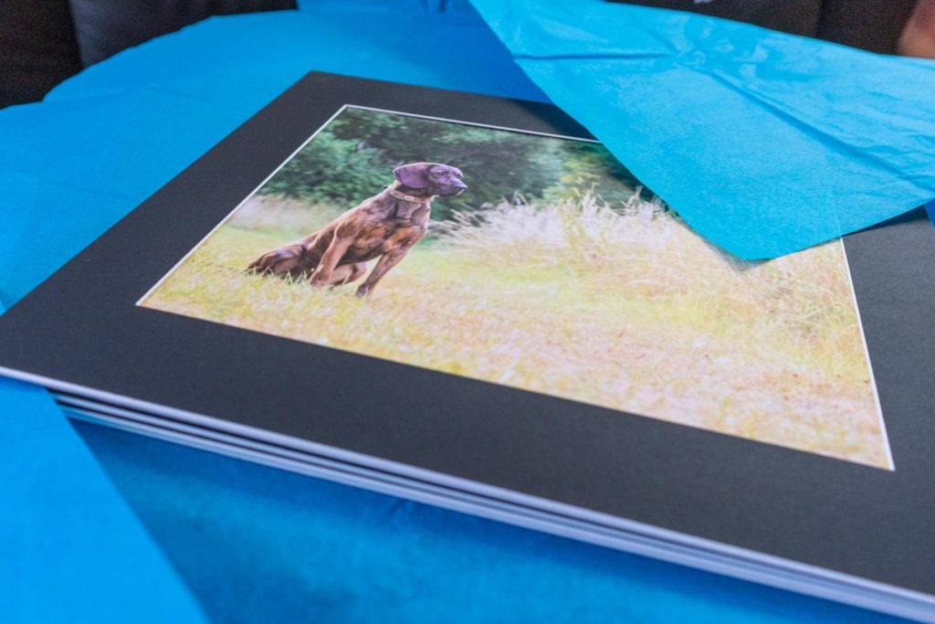 Drucke im schwarzen Passepartout eingewickelt in blauem Seidenpapier