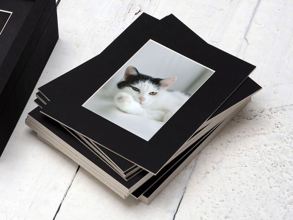 Desk Print mit schwarzem Passepartout, Foto einer schwarz-weißen Katze