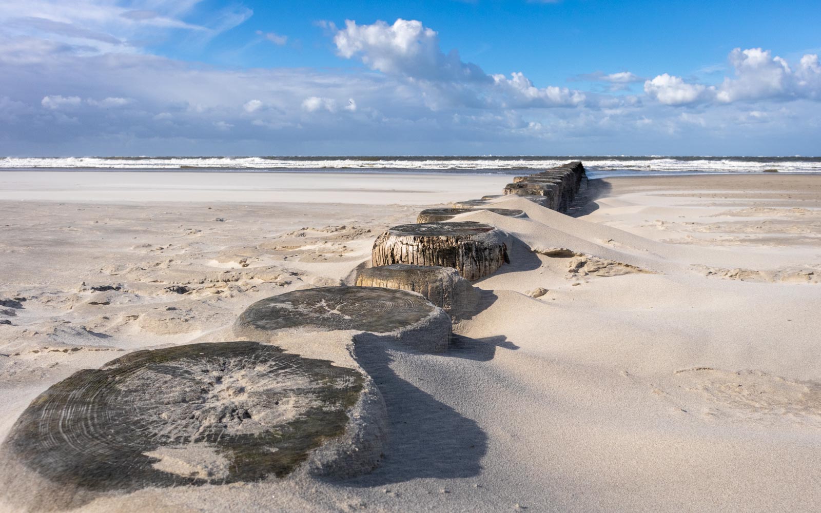 Nahaufnahme von Holzpfählen am Strand