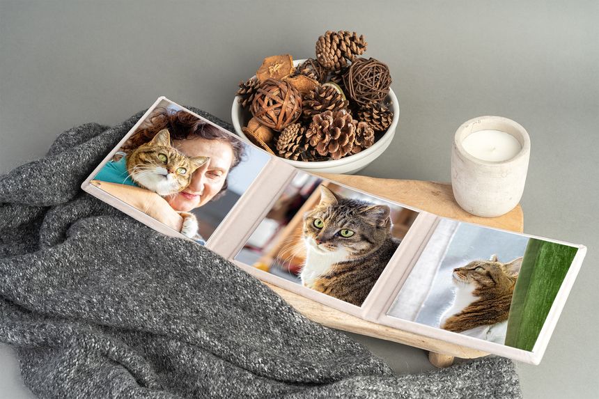 Fotoprodukt Triplex mit drei Bildern einer Tabby Katze und ihrer Besitzerin