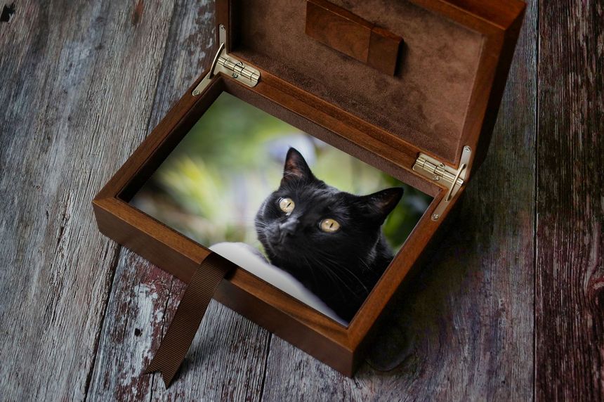 dunkle Holzbox mit Fotografie einer schwarzen Katze