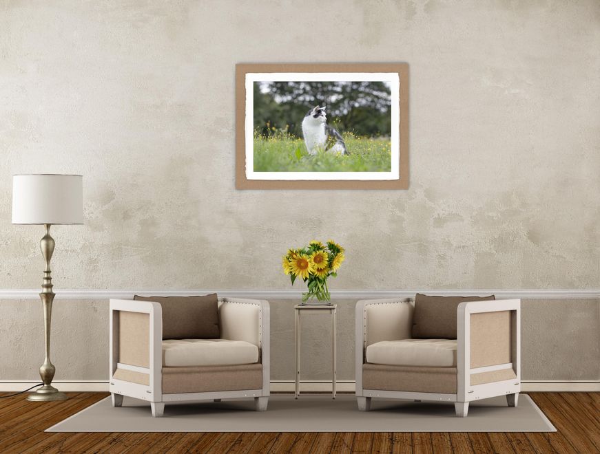 Raumansicht mit zwei Sesseln und einem Wandbild, das eine schwarz weisse Katze im Gras sitzend zeigt