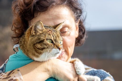 Frau hält ihre Tabby Katze im Arm und drückt ihr Gesicht liebevoll an sie. Die Katze trägt einen türkis-farbenen Body und schaut in die Ferne