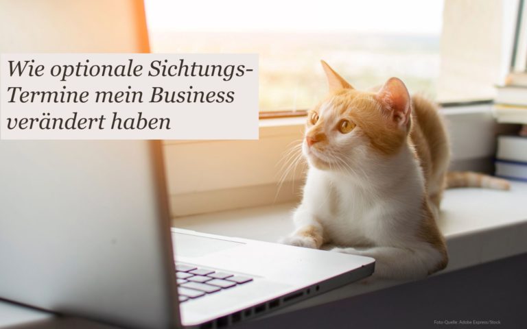 Katze liegt auf Fensterbank vor einem Laptop. Text = "Wie optionale Sichtungs-Termine mein Business verändert haben"