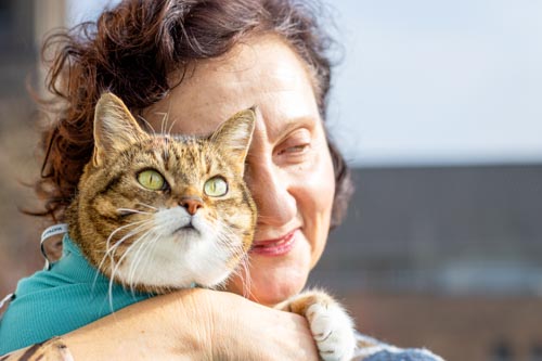 weiß/rot-getigerte Katze mit türkisem Body wird von Frau im Arm gehalten