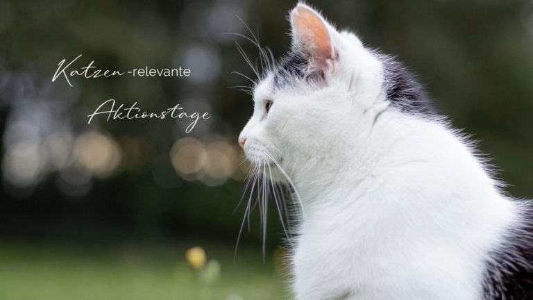 Profil einer schwarz-weißen Katze. Text = "Katzen-relevante Aktionstage"