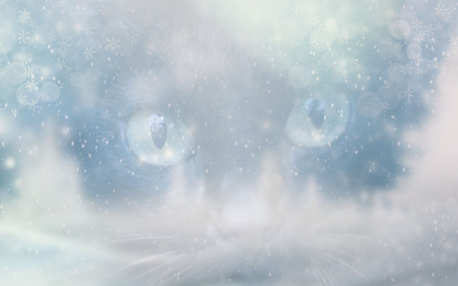 verschneite Landschaft über der die Augen einer Katze scheinen