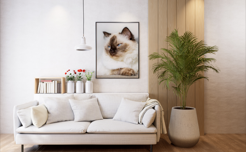 Raum-Bild mit heller Couch, daneben eine Palme in großem Topf vor Holzpaneel, auf der Rückenlehne der Couch stehen Bücher und Blumenvasen, an der Wand über der Couch hängt ein großformatiges gerahmtes Portrait einer Ragdoll Katze