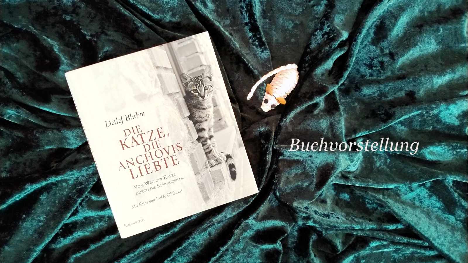Hardcover-Buch "Die Katze, die Anchovis liebte" liegt auf grünem Stoff. Text = "Buchvorstellung"